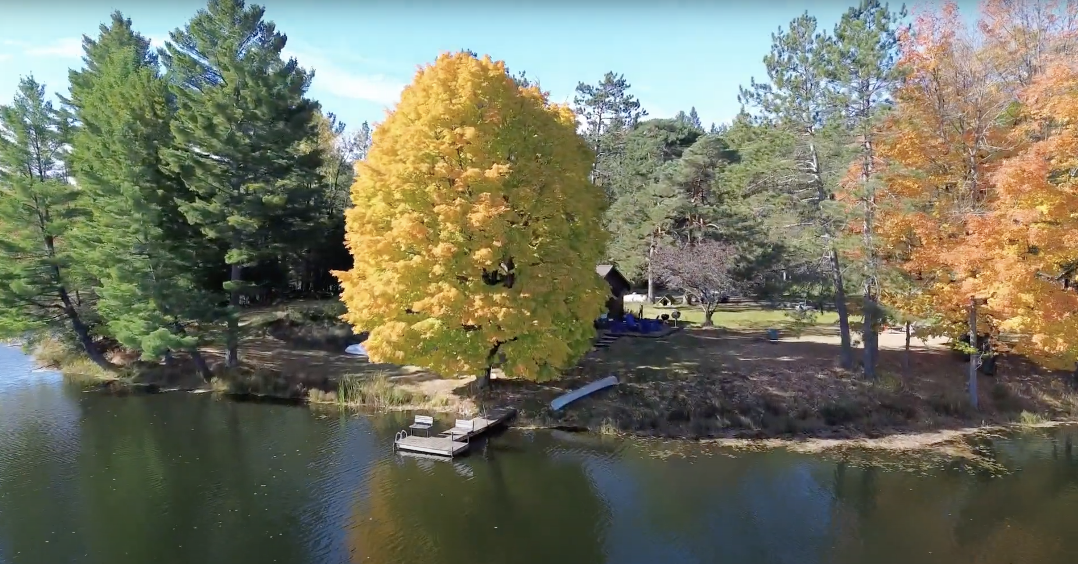 Meet “The Matriarch,” the beautiful sugar maple tree that gives this remarkable place its name.